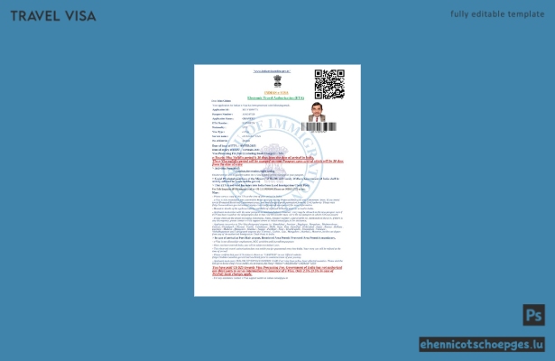 Vorschau des indischen E-Visums in Word und PDF
